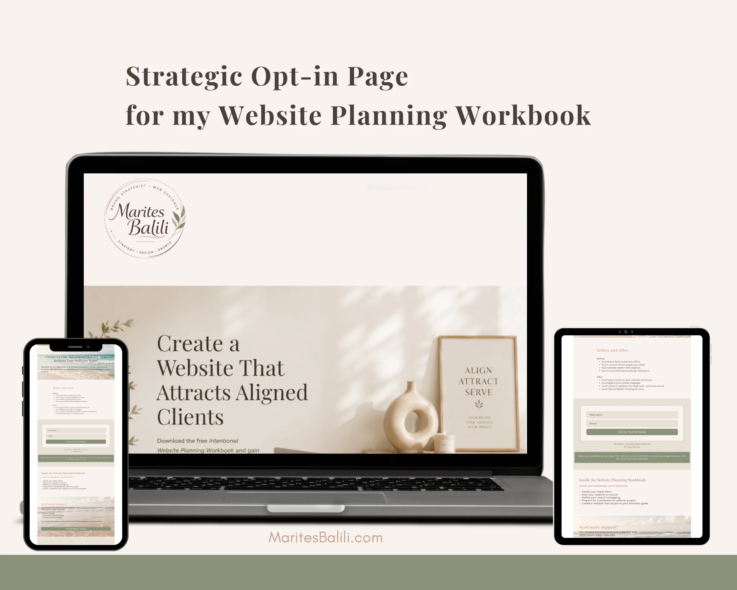 Strategic opt-in page for the Website Planning Workbook lead generation funnel